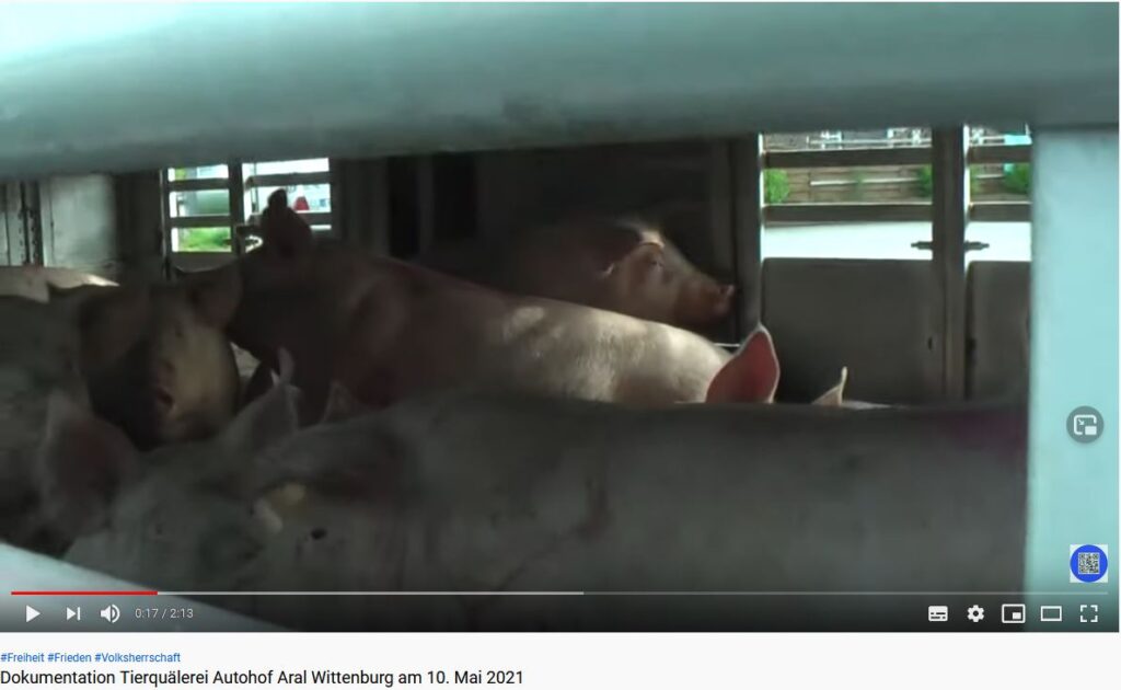 Beweisbild 1 1024x630