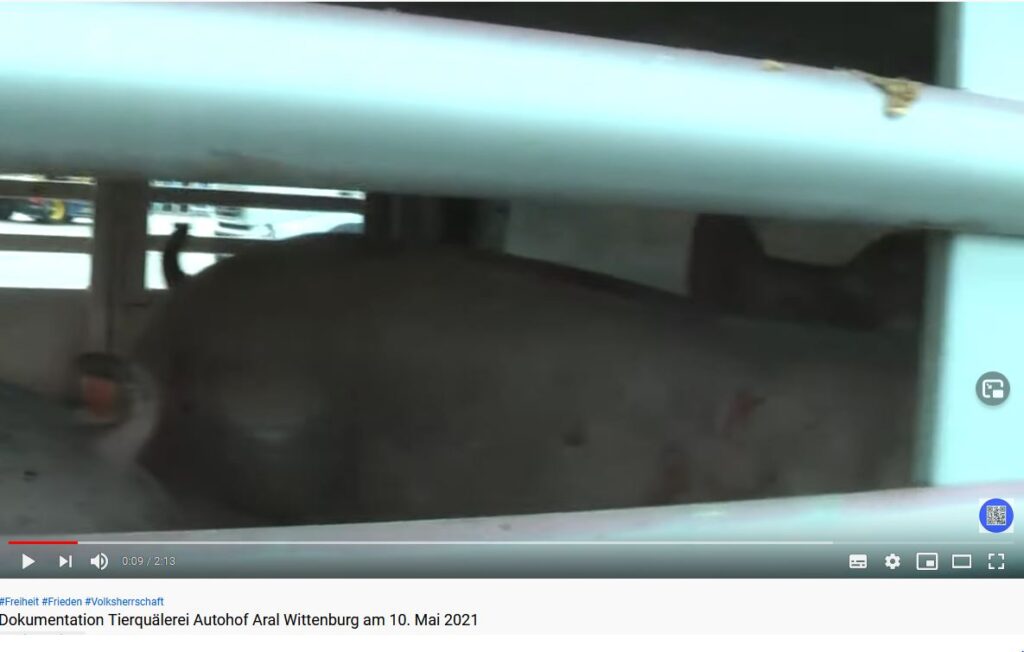 Beweisbild 2 1024x652