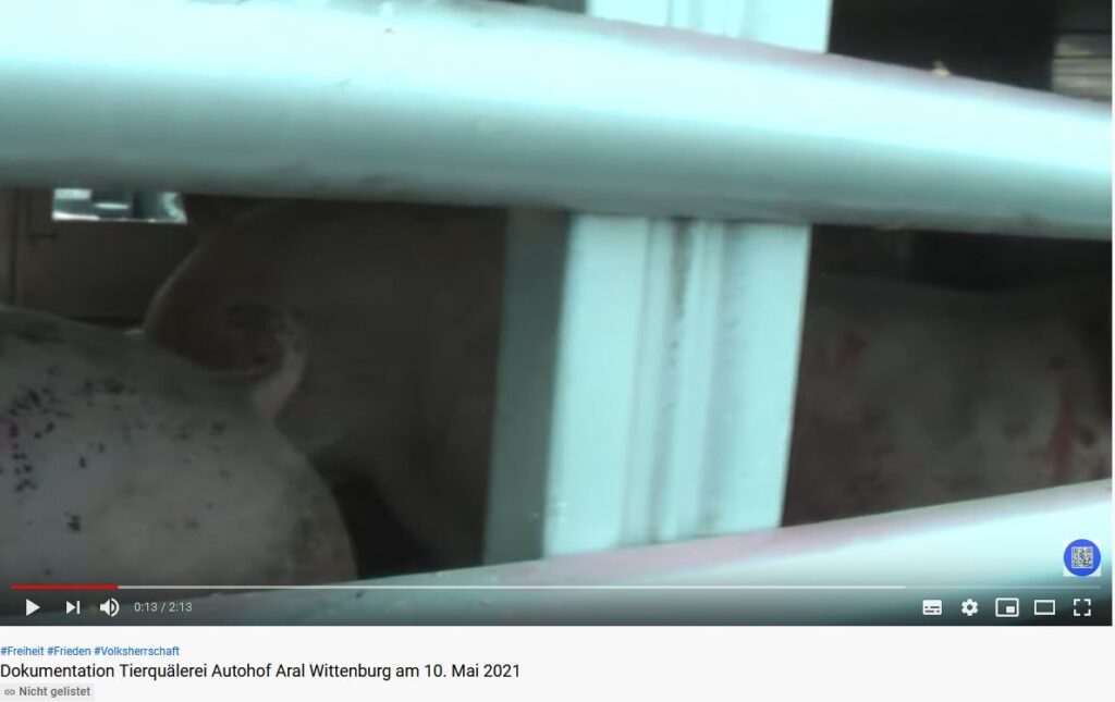 Beweisbild 3 1024x645