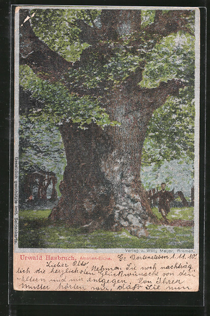 Amalieneiche im Hasbruch